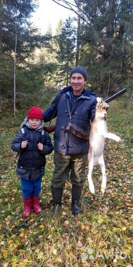 Охота на зайца с гончими