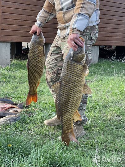 Рыбалка Астраханская область