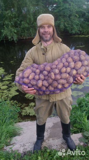 Картофель с доставкой