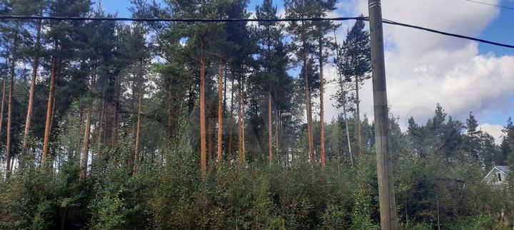 Участок 21 сот. (СНТ, ДНП)