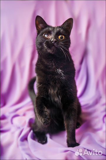 Нежная Мери очень ждёт когда ее заметят