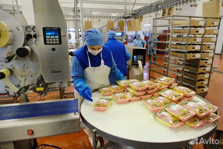 Вакансия птицефабрики: вахта Челябинск