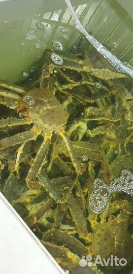 Продажа бизнеса / аренда / партнерство