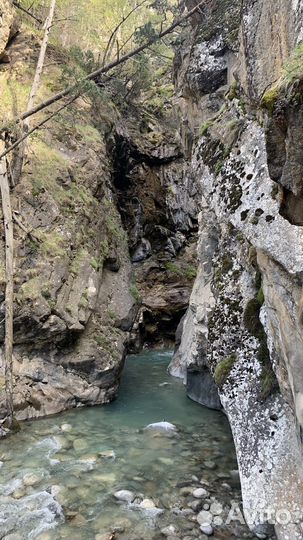 Индивидуальные и групповые экскусии