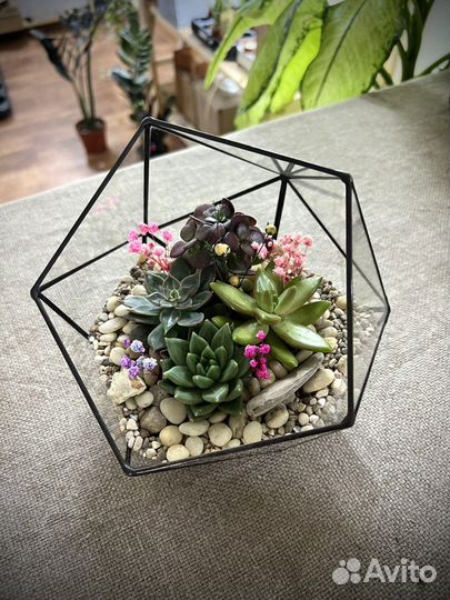 Флорариумы на заказ