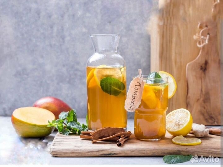 Чайный гриб комбуча