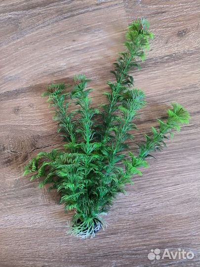 Аквариум 10 л