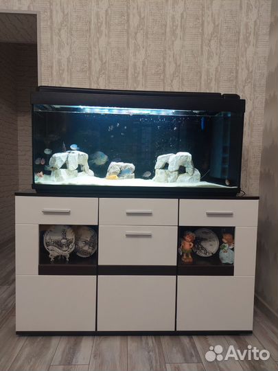 Аквариум Aquatlantis 240л