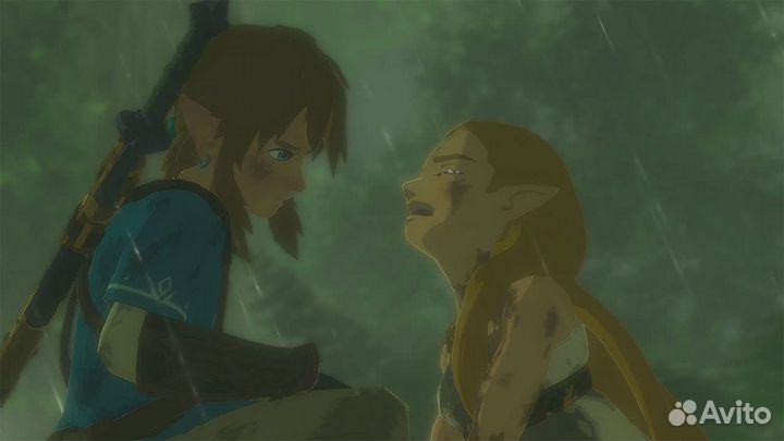 The Legend of Zelda Breath of Wild Nintendo Switch