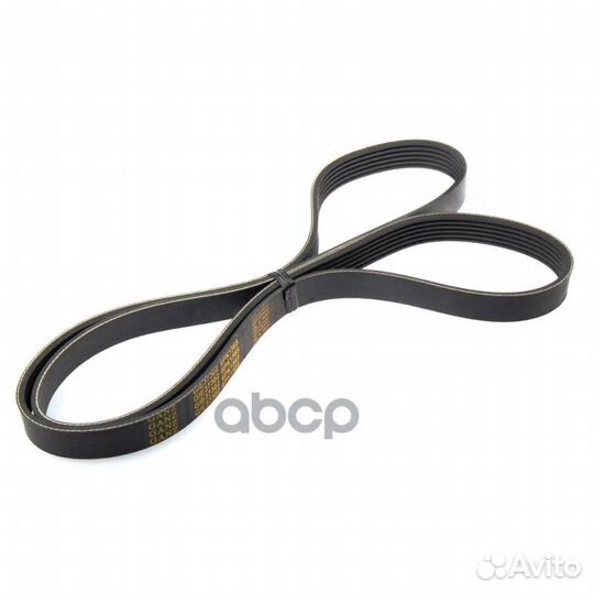 Ремень поликлиновый 6PK1565 ganz GIE37302 GIE37302