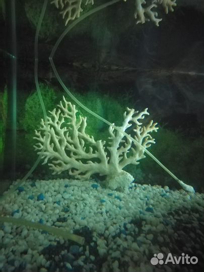 Продам грот, коралл, камушки в аквариум