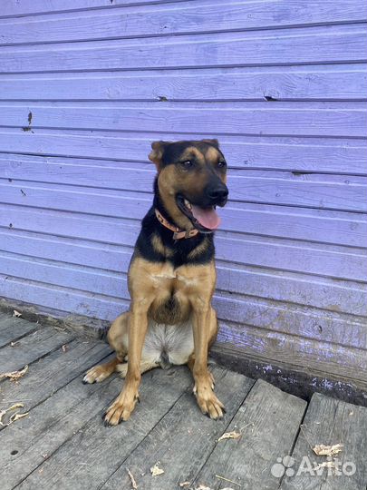 Кай и Герда