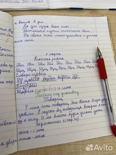 Репетитор начальных классов