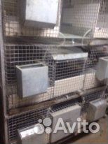 Большая Клетка для кроликов