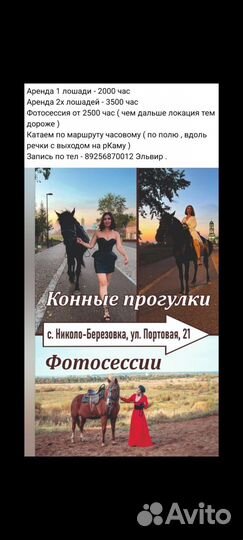 Конные прогулки в Нефтекамске