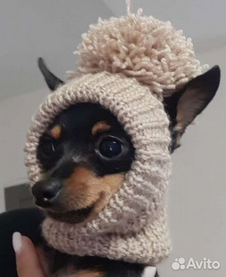 Шапочка для собаки