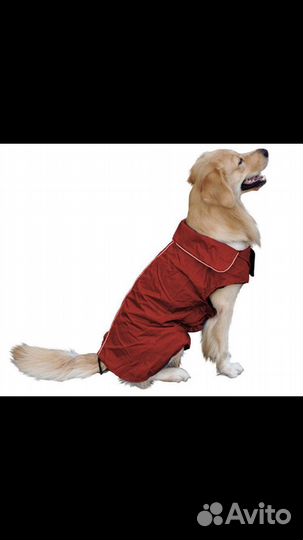 Курточка на собаку