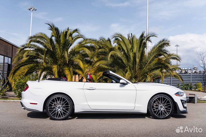 Аренда кабриолета, прокат авто Ford Mustang Shelby