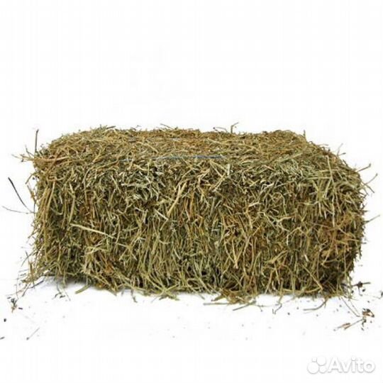 Сено в тюках