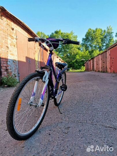 Велосипед stinger latina