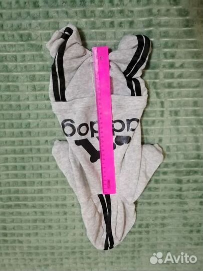 Одежда для собак