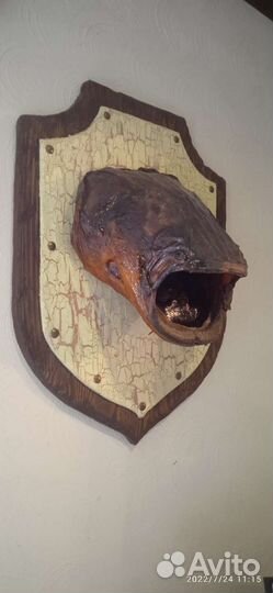 Индивидуальные экскурсии