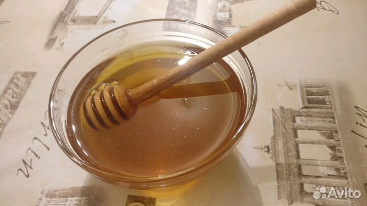 Мёд Алтайский