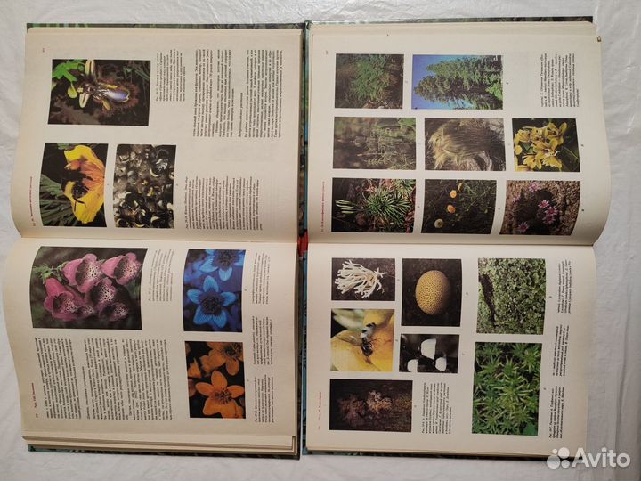 Двухтомник 