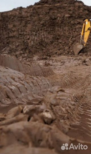 Приму грунт