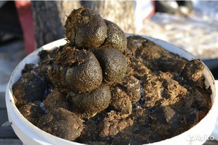 Конский навоз (перегной) в мешках с доставкой