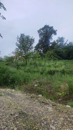 Участок 30 сот. (ИЖС)