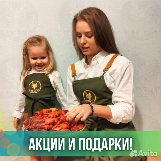 Устрица Жилардо Gillardeau живые морепродукты