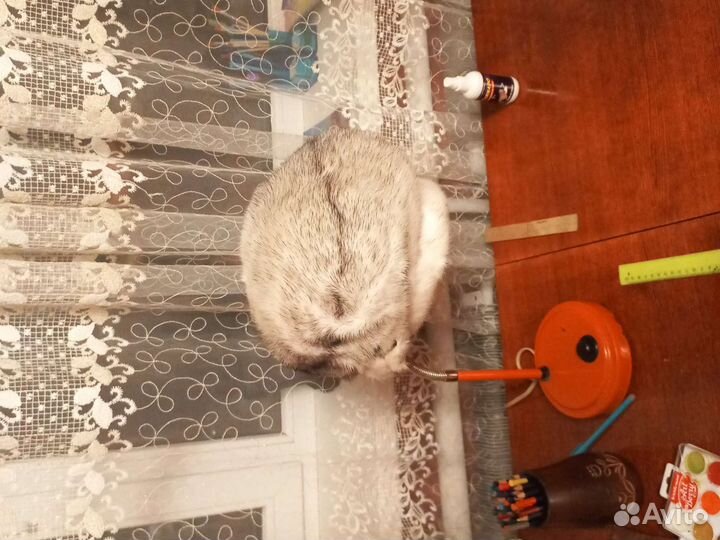 Берет женский норковый