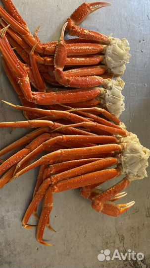 Морепродукты