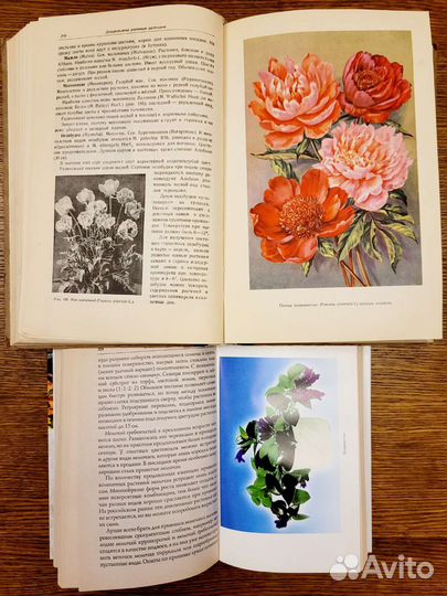 Книги по растениеводству