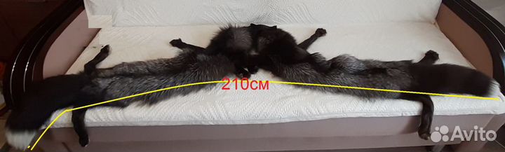 Чернобурка.Горжетка из чернобурки