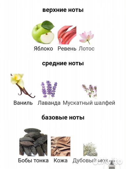 Abercrombie & Fitch Authentic Night Homme 50ml