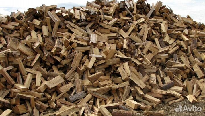 Дрова с Приморска