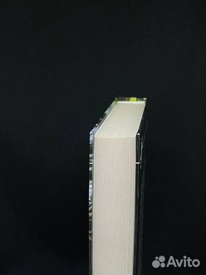 Наследник клана