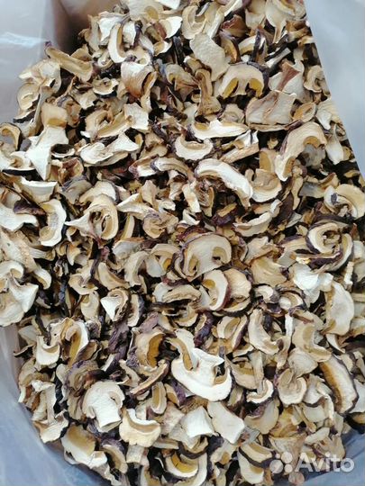 Грибы Белые