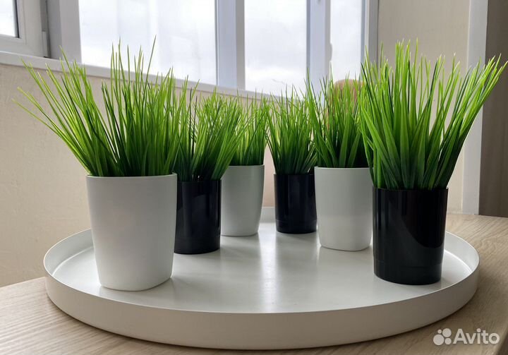 Искусственная зелень в горшочках осока