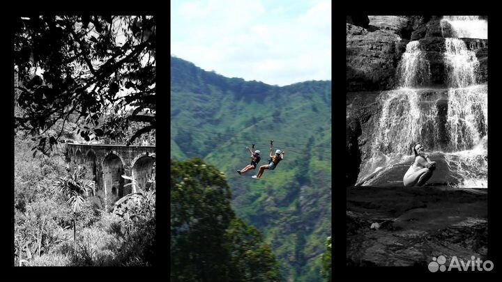 Видеосъёмка/Видеооператор\Видеомонтаж