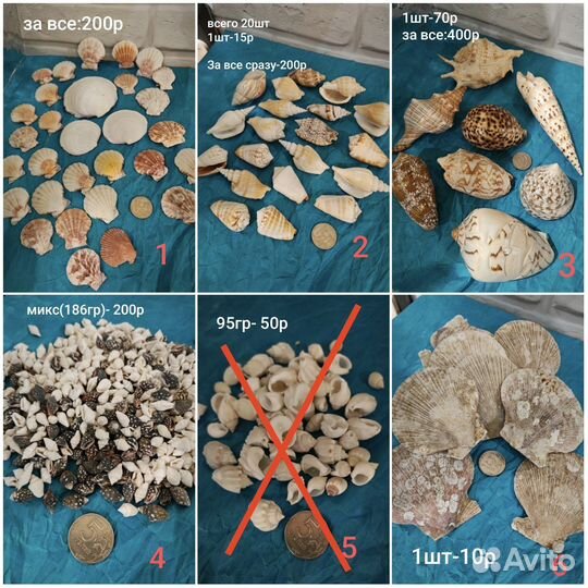 Декор для аквариума, ракушки