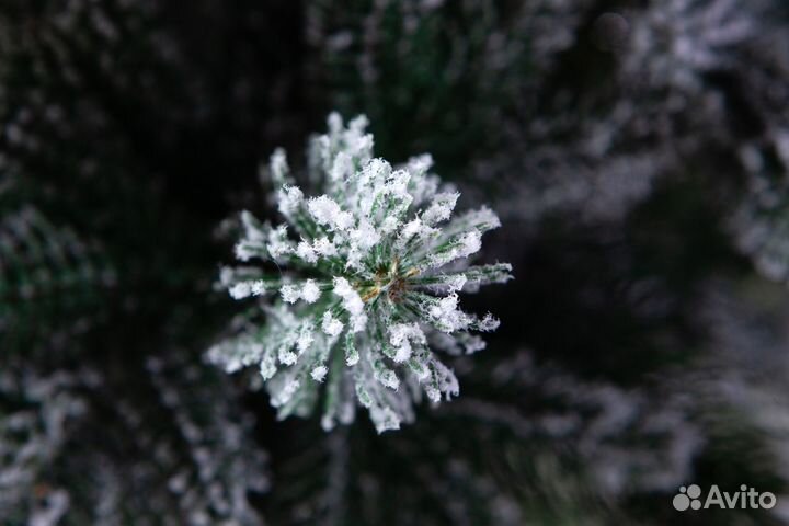 Елка искусственная Монссерат литая