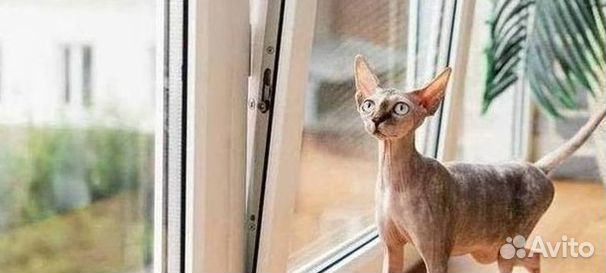 Пластиковые окна на заказ