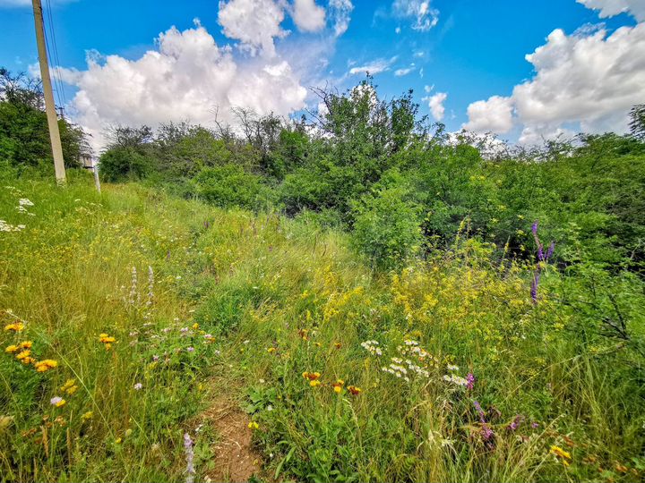 Участок 5,4 сот. (ИЖС)