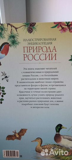 Энциклопедия. Природа России