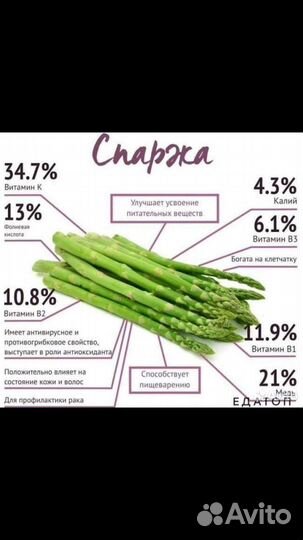 Рассада (Саженцы Спаржи)