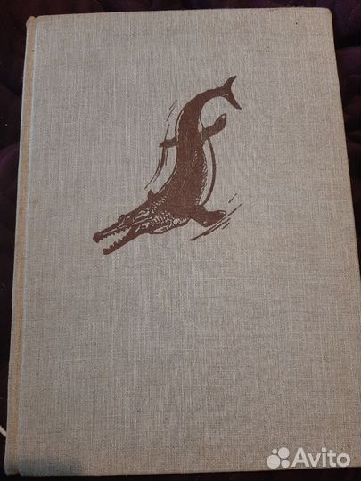 И. Аугуста, З. Буриан. Ящеры древних морей