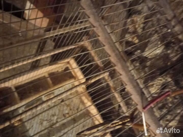 Клетка из СССР